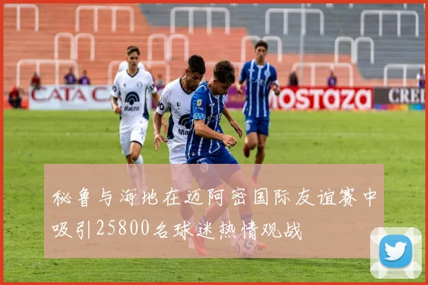 秘鲁与海地在迈阿密国际友谊赛中吸引25800名球迷热情观战