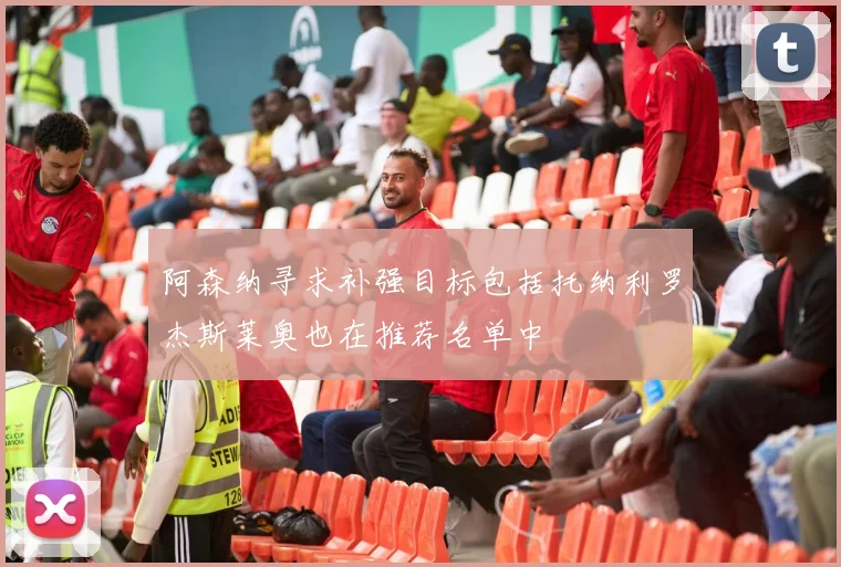 阿森纳寻求补强目标包括托纳利罗杰斯莱奥也在推荐名单中