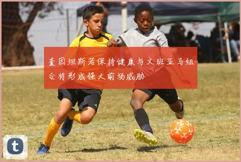 奎因坦斯若保持健康与文班亚马组合将形成强大前场威胁