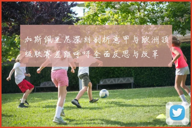 加斯佩里尼深刻剖析意甲与欧洲顶级联赛差距呼吁全面反思与改革