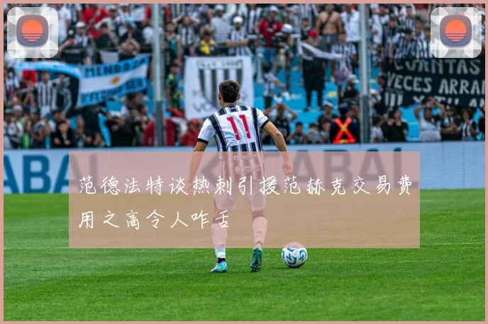 范德法特谈热刺引援范赫克交易费用之高令人咋舌