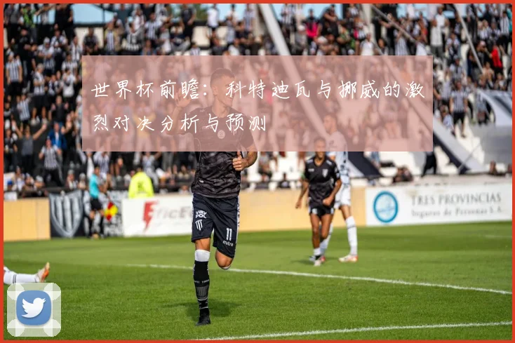 世界杯前瞻：科特迪瓦与挪威的激烈对决分析与预测